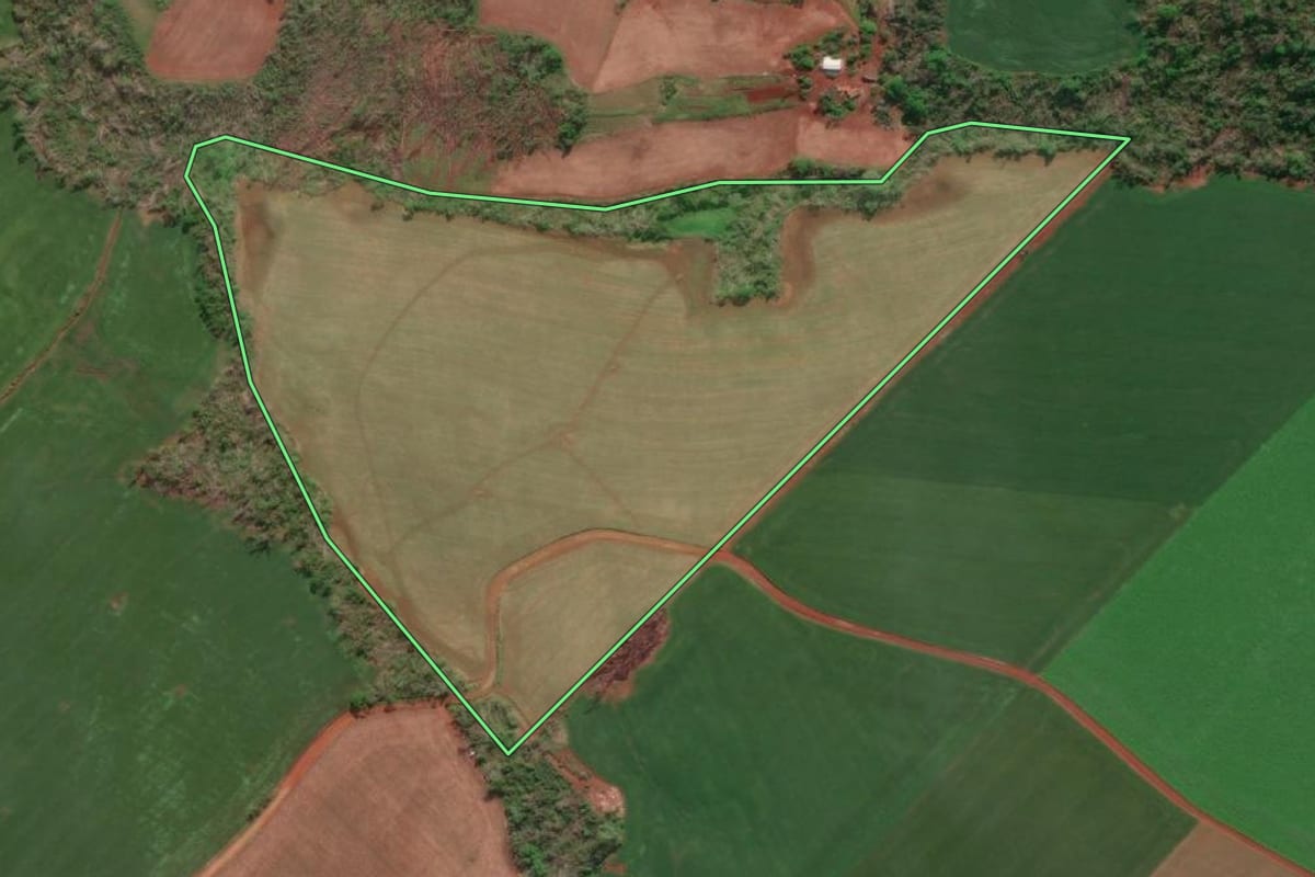 Imagem de satélite do imóvel rural em Doutor Maurício Cardoso (RS), com o contorno declarado no CAR desenhado por cima.