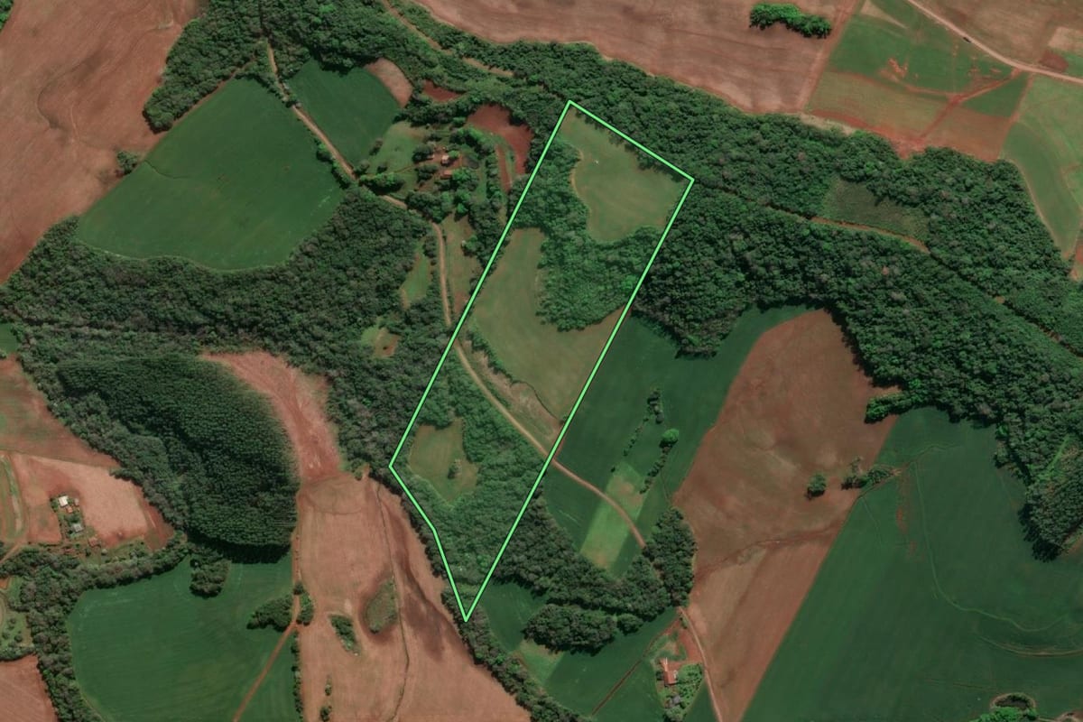 Imagem de satélite do imóvel rural em Doutor Maurício Cardoso (RS), com o contorno declarado no CAR desenhado por cima.