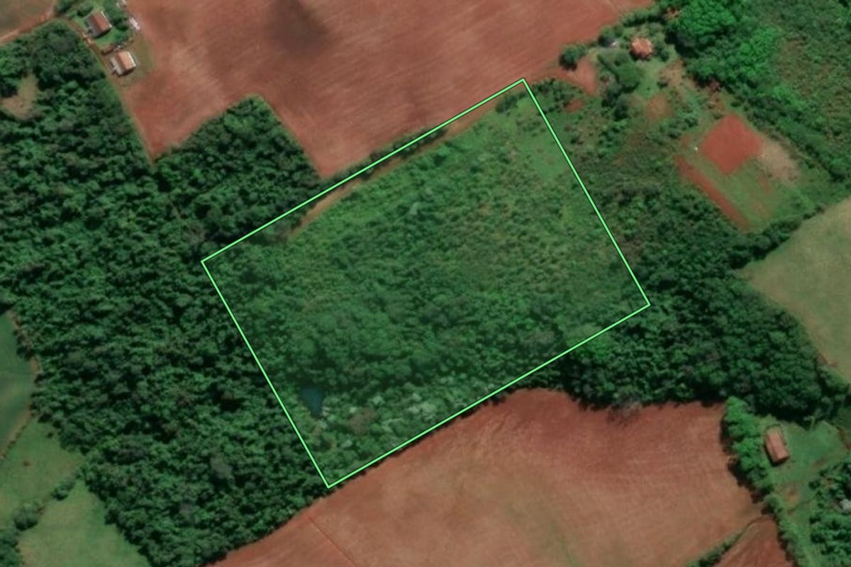 Imagem de satélite do imóvel rural em Doutor Maurício Cardoso (RS), com o contorno declarado no CAR desenhado por cima.