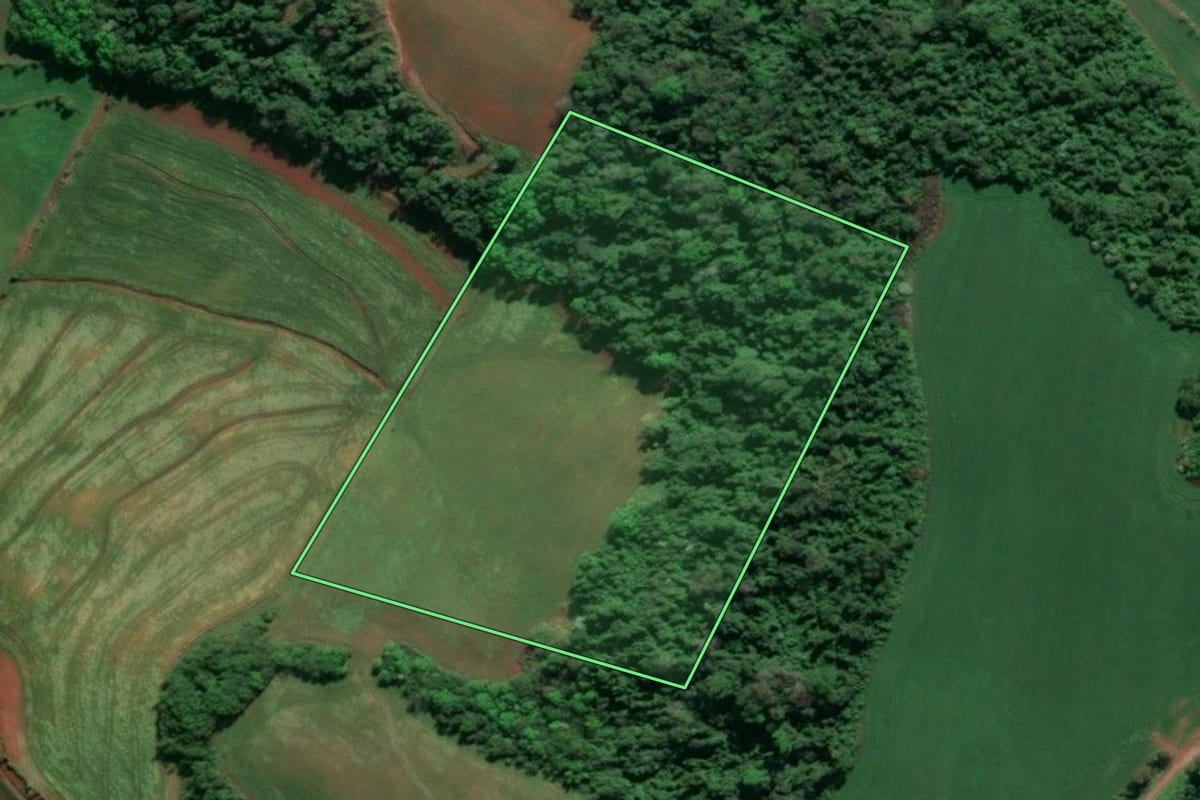 Imagem de satélite do imóvel rural em Doutor Maurício Cardoso (RS), com o contorno declarado no CAR desenhado por cima.