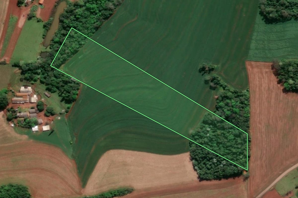 Imagem de satélite do imóvel rural em Doutor Maurício Cardoso (RS), com o contorno declarado no CAR desenhado por cima.