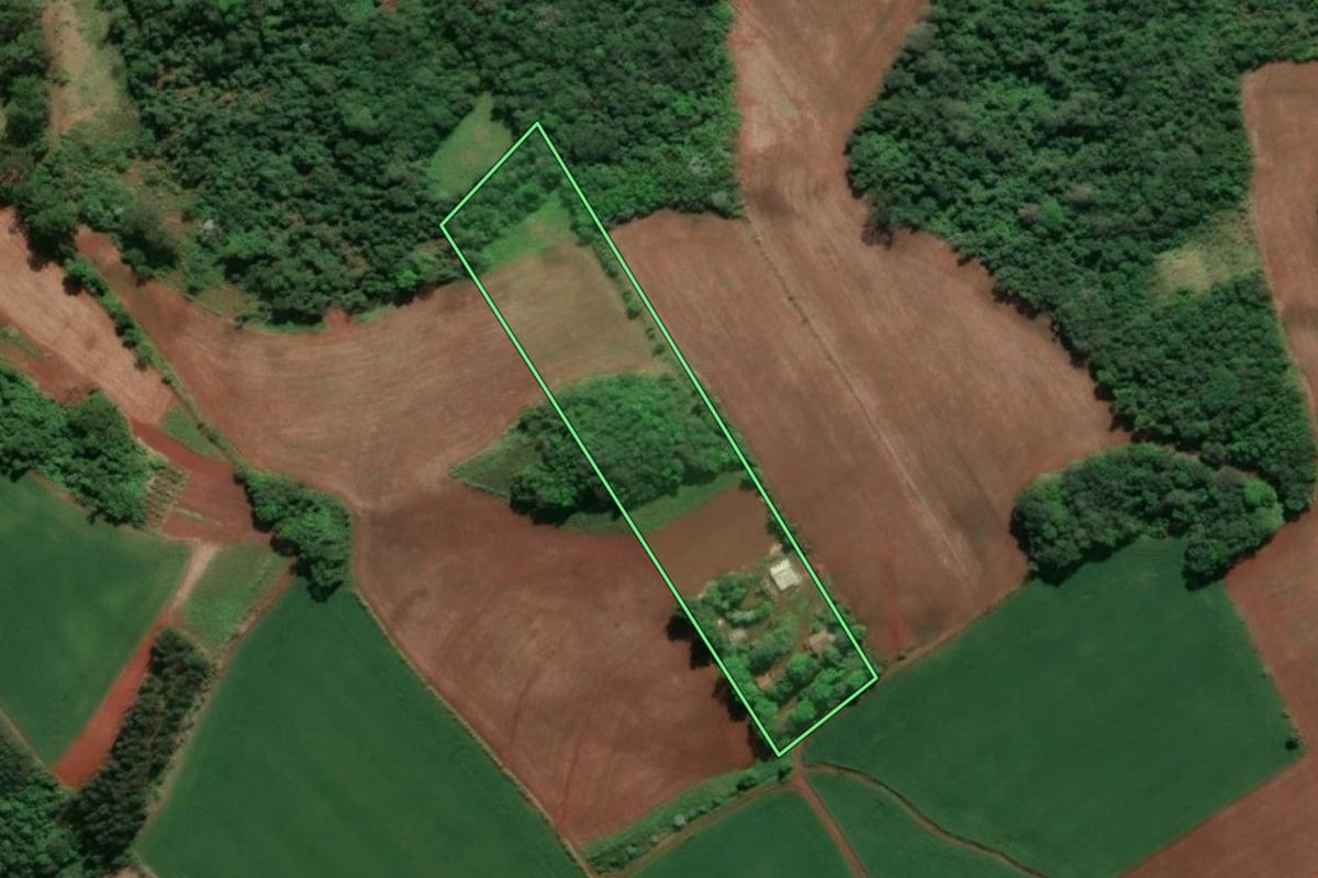 Imagem de satélite do imóvel rural em Doutor Maurício Cardoso (RS), com o contorno declarado no CAR desenhado por cima.