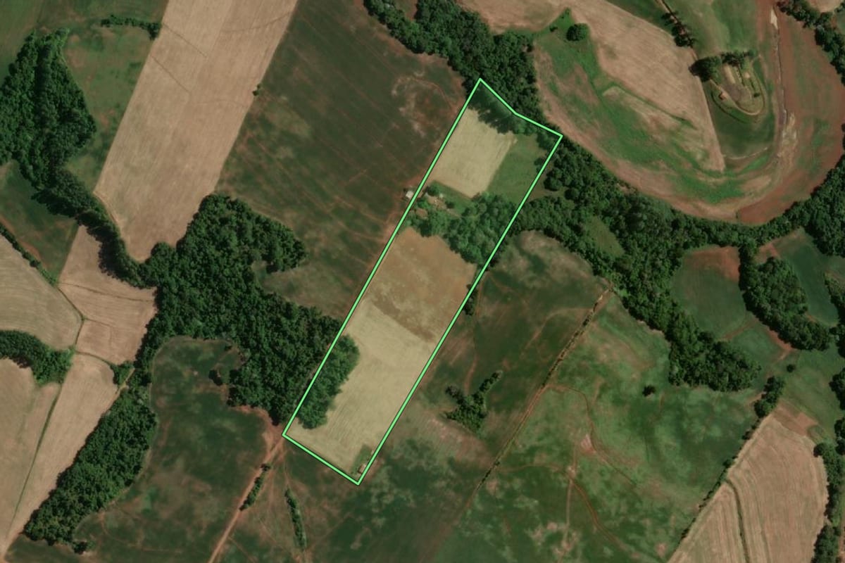 Imagem de satélite do imóvel rural em Doutor Maurício Cardoso (RS), com o contorno declarado no CAR desenhado por cima.