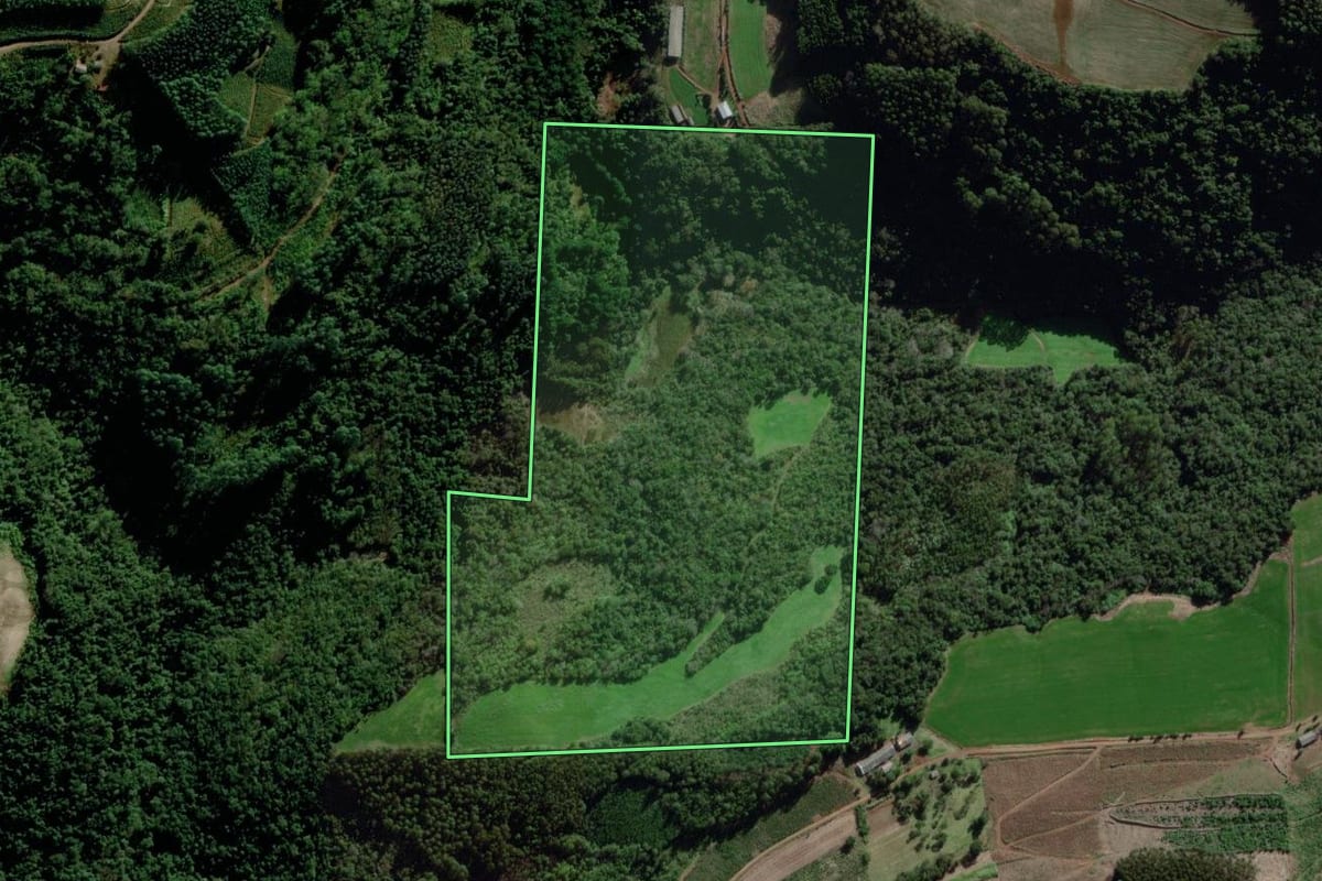 Imagem de satélite do imóvel rural em Doutor Ricardo (RS), com o contorno declarado no CAR desenhado por cima.