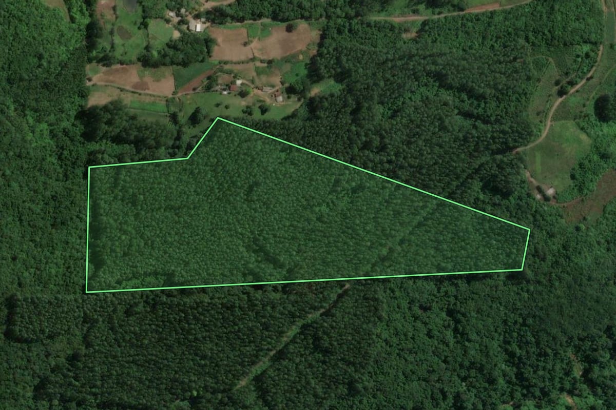 Imagem de satélite do imóvel rural em Doutor Ricardo (RS), com o contorno declarado no CAR desenhado por cima.