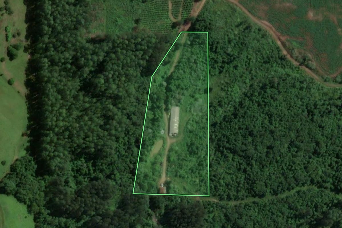 Imagem de satélite do imóvel rural em Doutor Ricardo (RS), com o contorno declarado no CAR desenhado por cima.