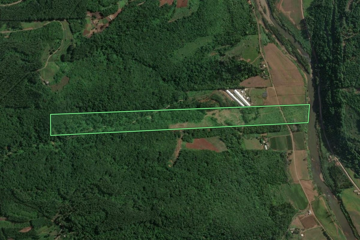 Imagem de satélite do imóvel rural em Doutor Ricardo (RS), com o contorno declarado no CAR desenhado por cima.