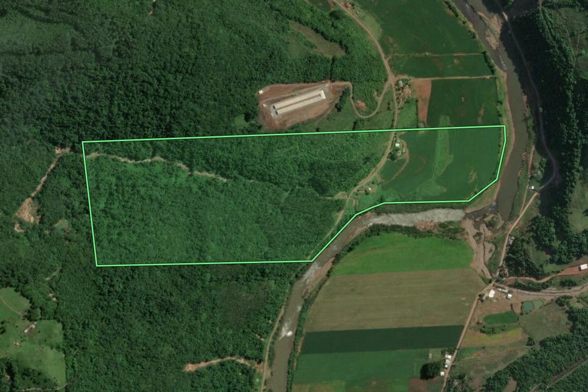 Imagem de satélite do imóvel rural em Doutor Ricardo (RS), com o contorno declarado no CAR desenhado por cima.