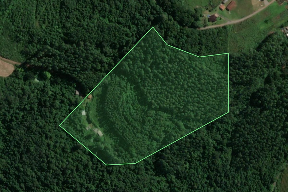 Imagem de satélite do imóvel rural em Doutor Ricardo (RS), com o contorno declarado no CAR desenhado por cima.