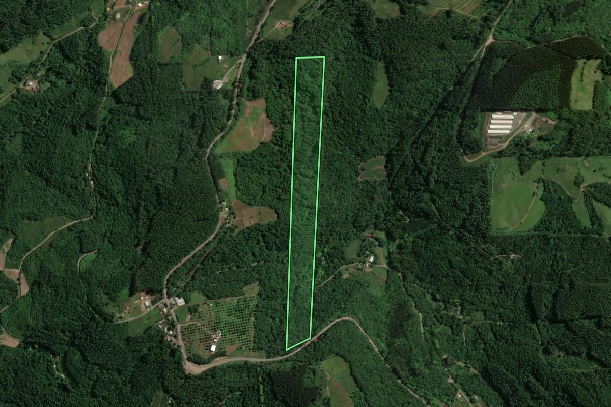 Imagem de satélite do imóvel rural em Doutor Ricardo (RS), com o contorno declarado no CAR desenhado por cima.