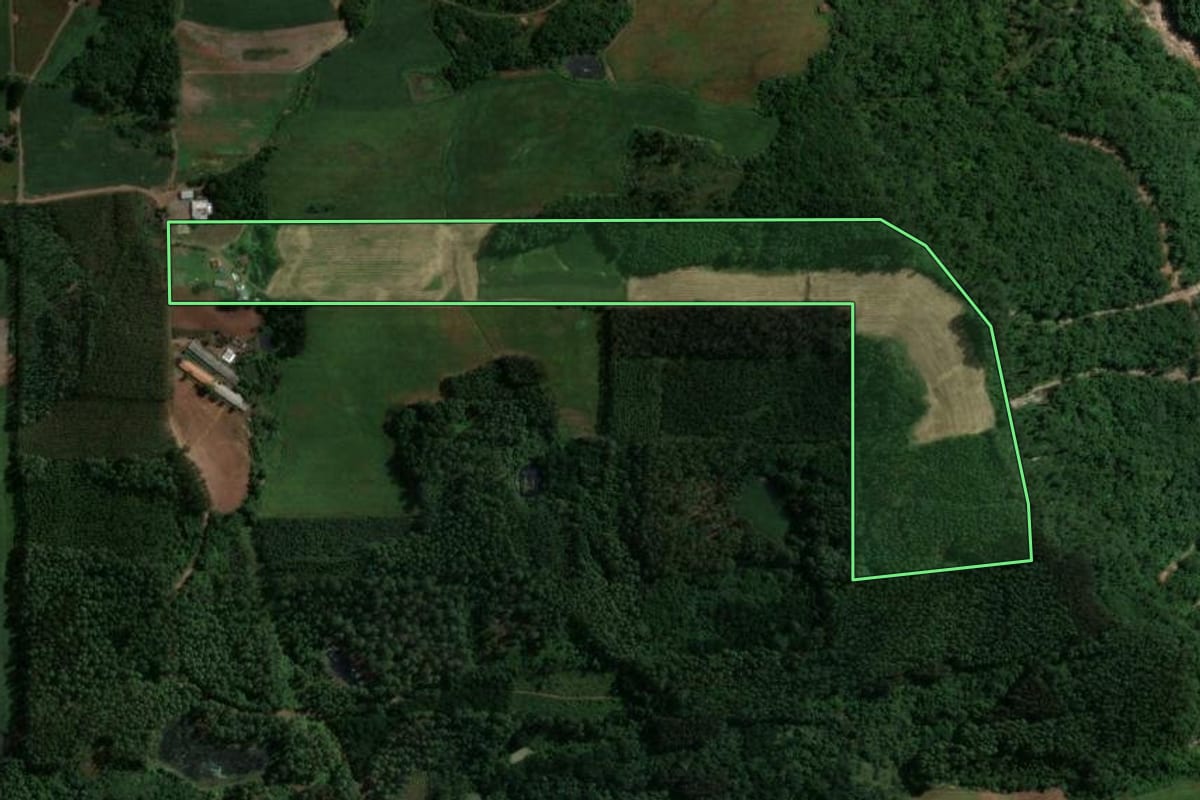 Imagem de satélite do imóvel rural em Doutor Ricardo (RS), com o contorno declarado no CAR desenhado por cima.