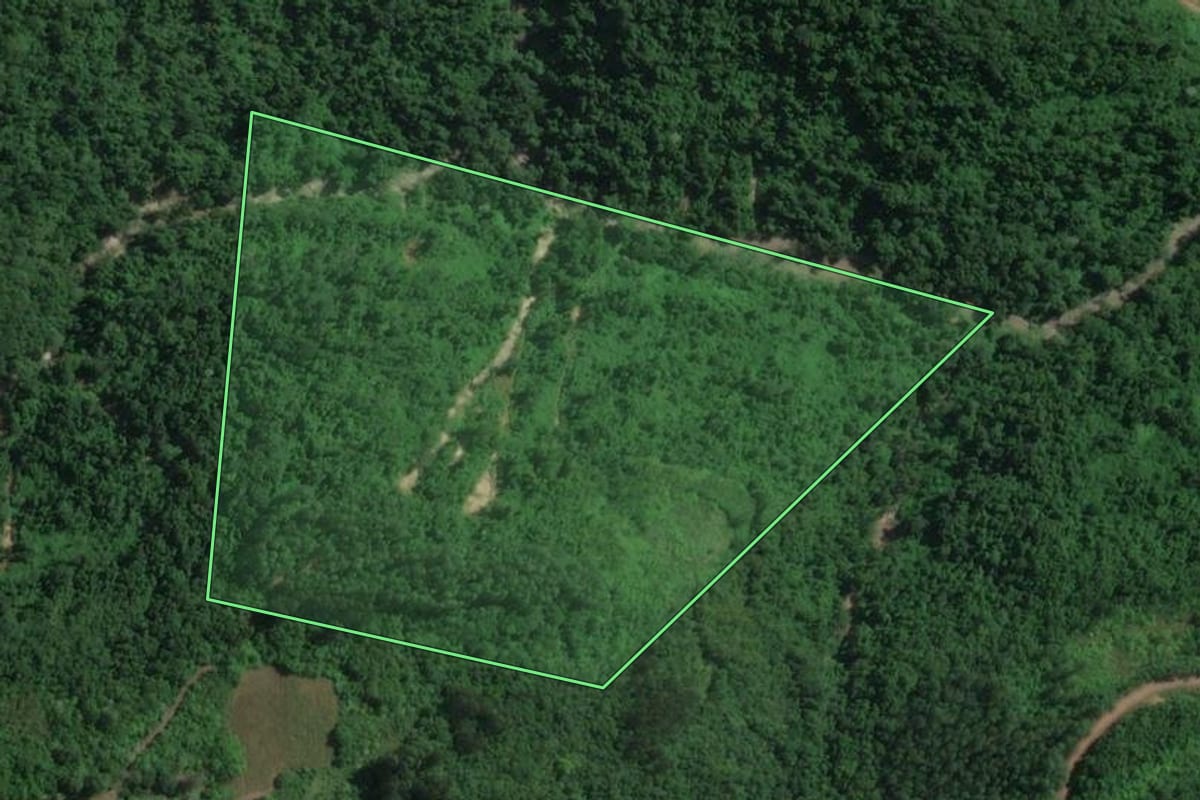 Imagem de satélite do imóvel rural em Doutor Ricardo (RS), com o contorno declarado no CAR desenhado por cima.