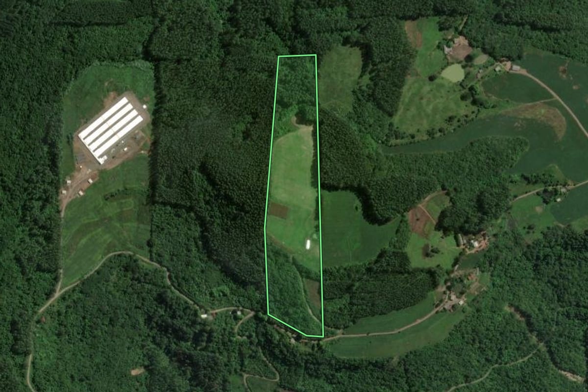 Imagem de satélite do imóvel rural em Doutor Ricardo (RS), com o contorno declarado no CAR desenhado por cima.
