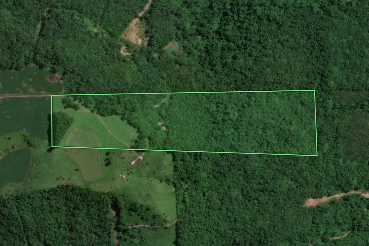 Imagem de satélite do imóvel rural em Doutor Ricardo (RS), com o contorno declarado no CAR desenhado por cima.