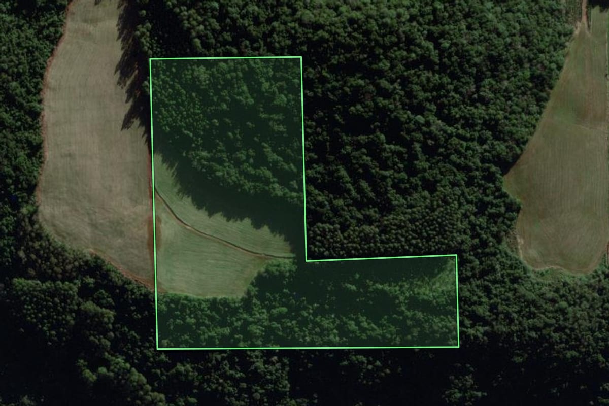 Imagem de satélite do imóvel rural em Doutor Ricardo (RS), com o contorno declarado no CAR desenhado por cima.