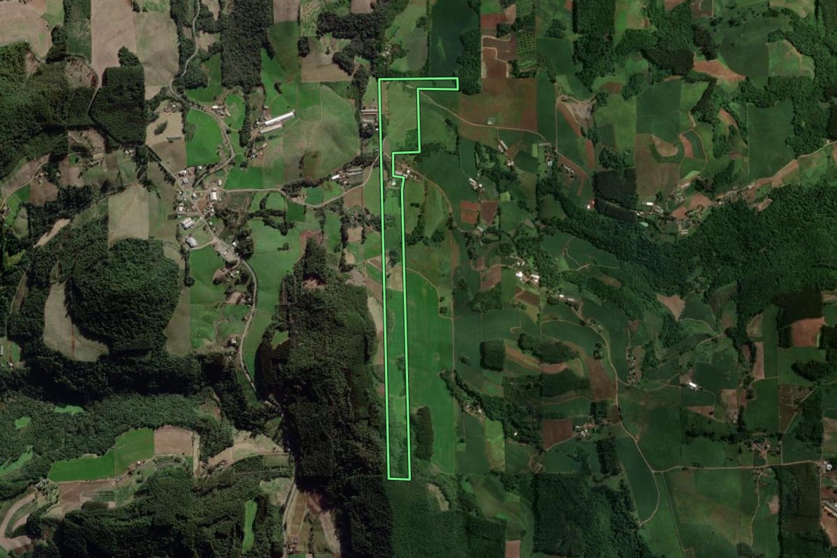 Imagem de satélite do imóvel rural em Doutor Ricardo (RS), com o contorno declarado no CAR desenhado por cima.