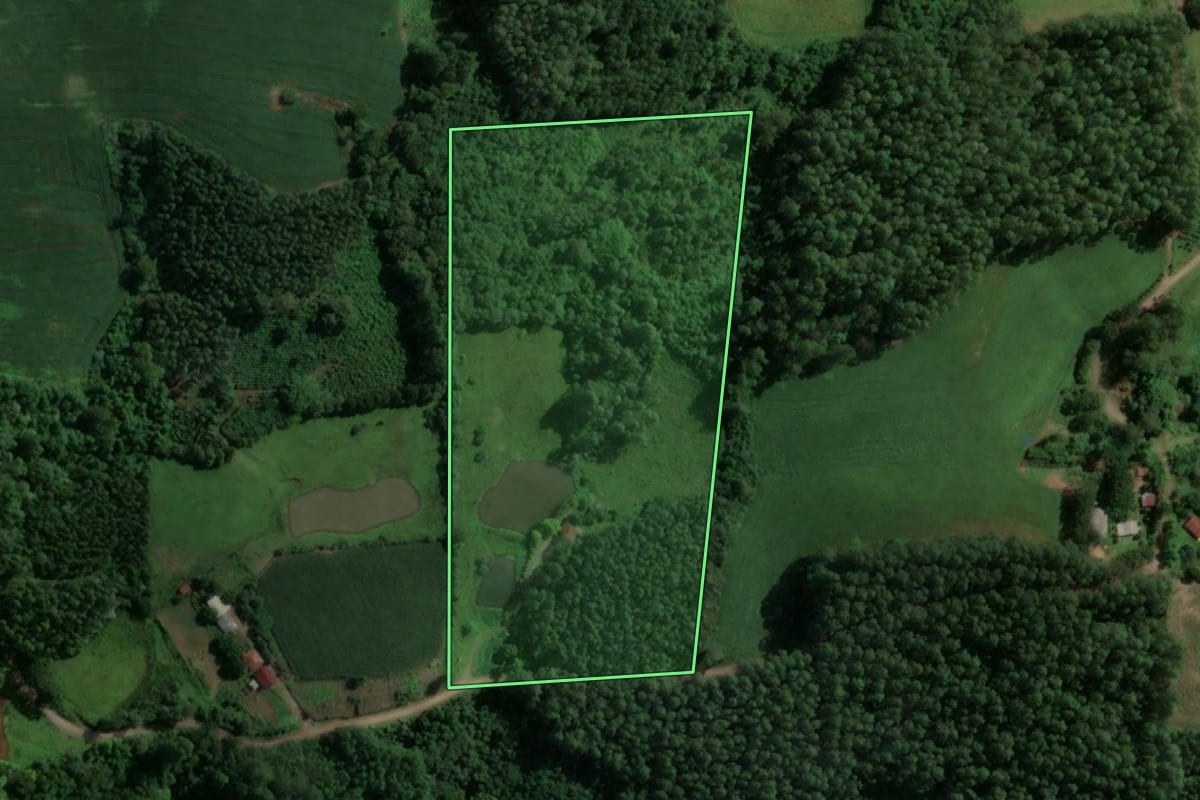 Imagem de satélite do imóvel rural em Doutor Ricardo (RS), com o contorno declarado no CAR desenhado por cima.