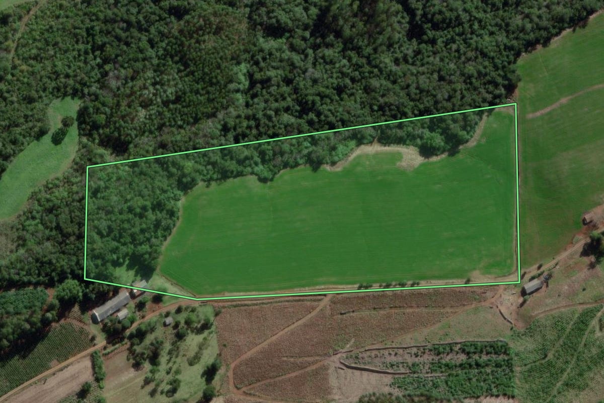 Imagem de satélite do imóvel rural em Doutor Ricardo (RS), com o contorno declarado no CAR desenhado por cima.