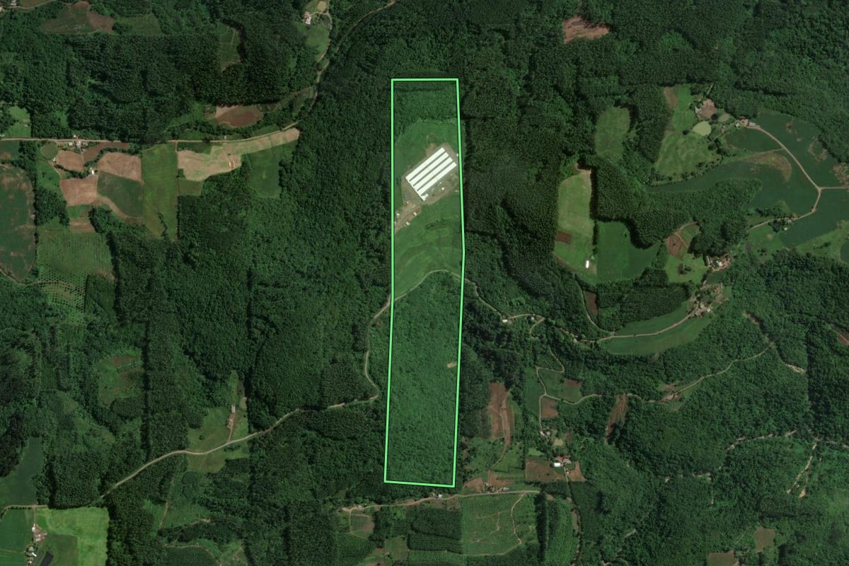 Imagem de satélite do imóvel rural em Doutor Ricardo (RS), com o contorno declarado no CAR desenhado por cima.