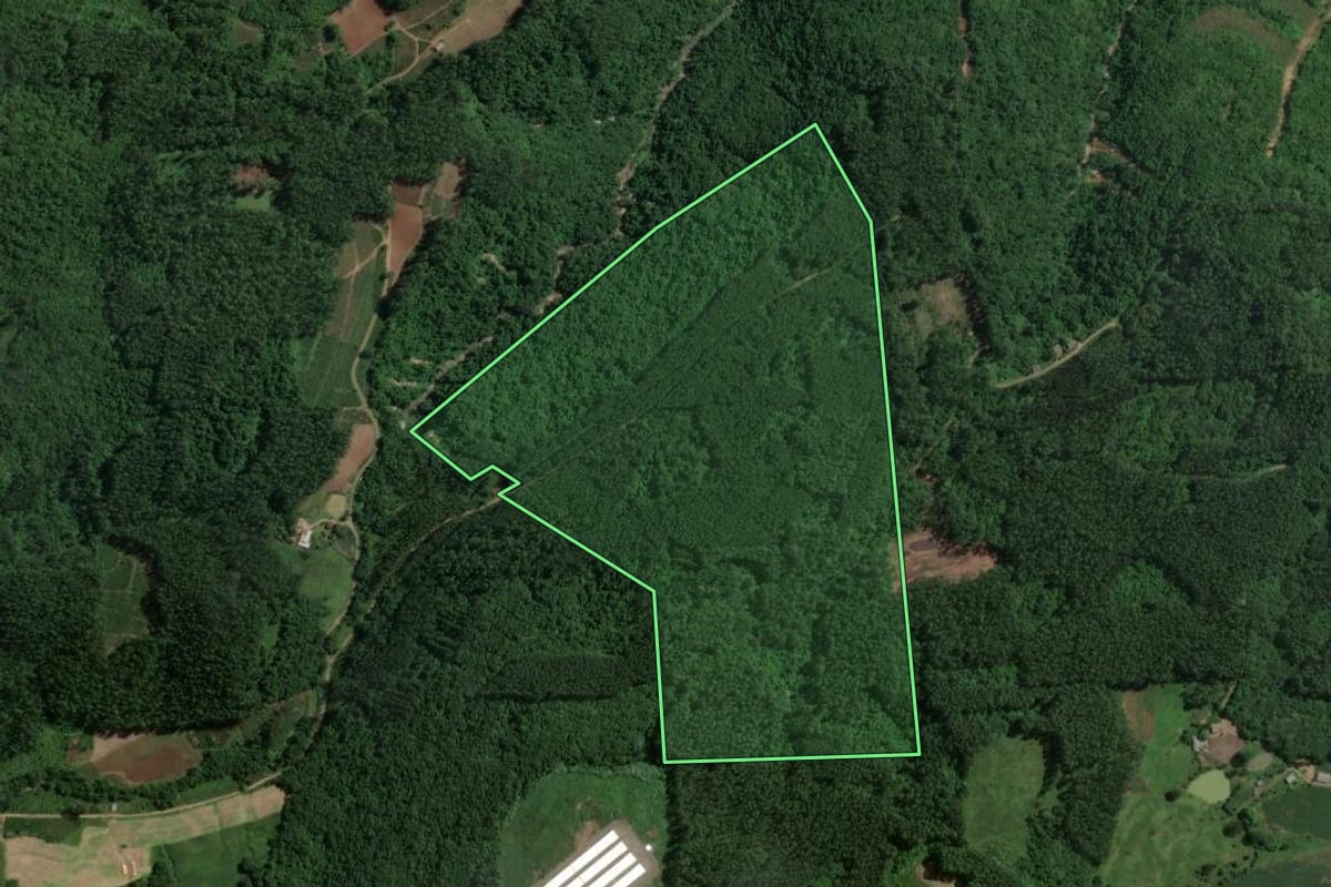 Imagem de satélite do imóvel rural em Doutor Ricardo (RS), com o contorno declarado no CAR desenhado por cima.
