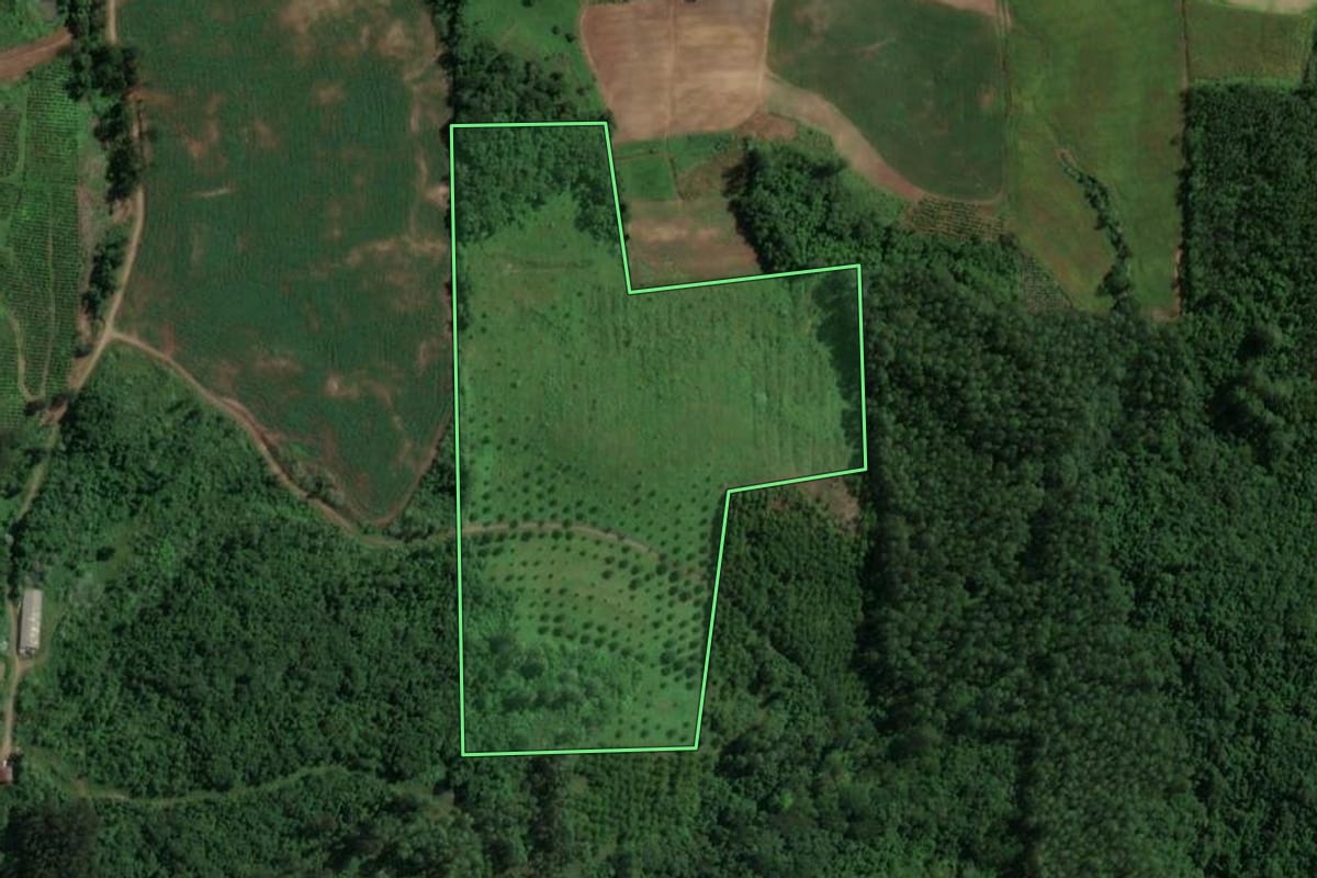 Imagem de satélite do imóvel rural em Doutor Ricardo (RS), com o contorno declarado no CAR desenhado por cima.