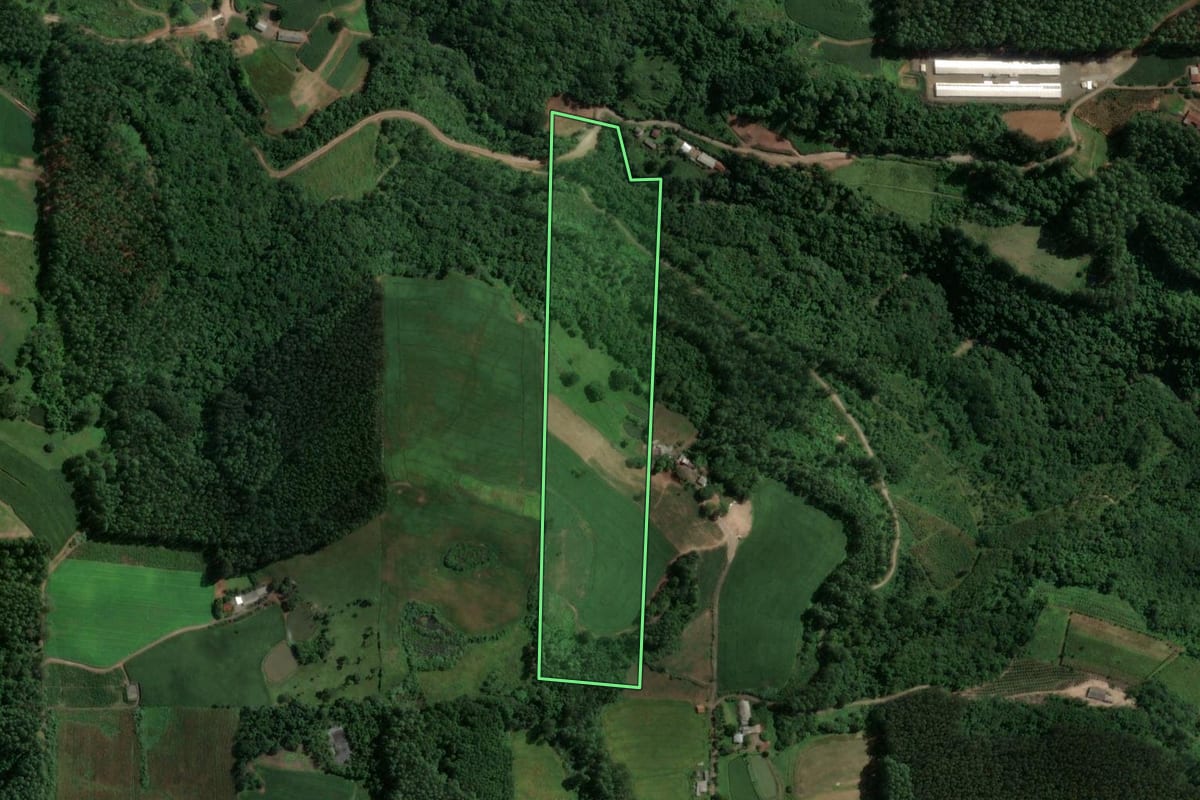 Imagem de satélite do imóvel rural em Doutor Ricardo (RS), com o contorno declarado no CAR desenhado por cima.