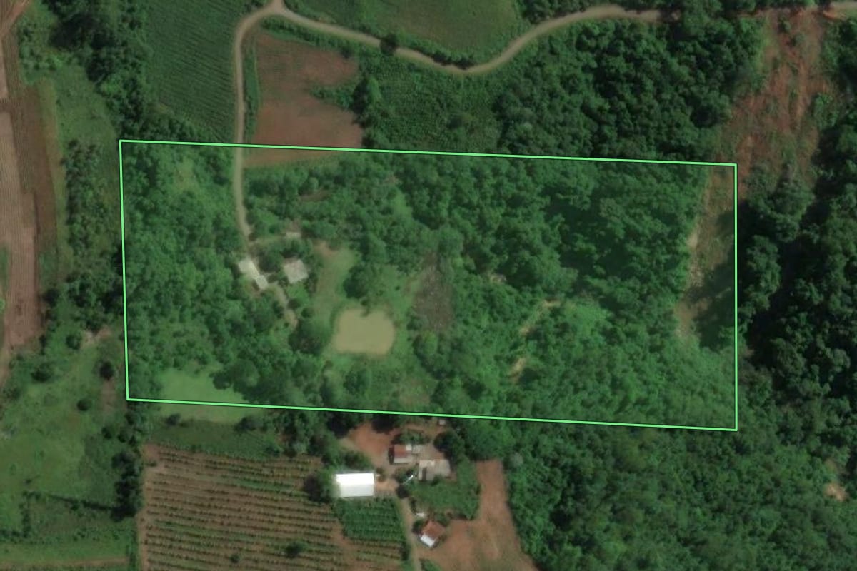 Imagem de satélite do imóvel rural em Doutor Ricardo (RS), com o contorno declarado no CAR desenhado por cima.