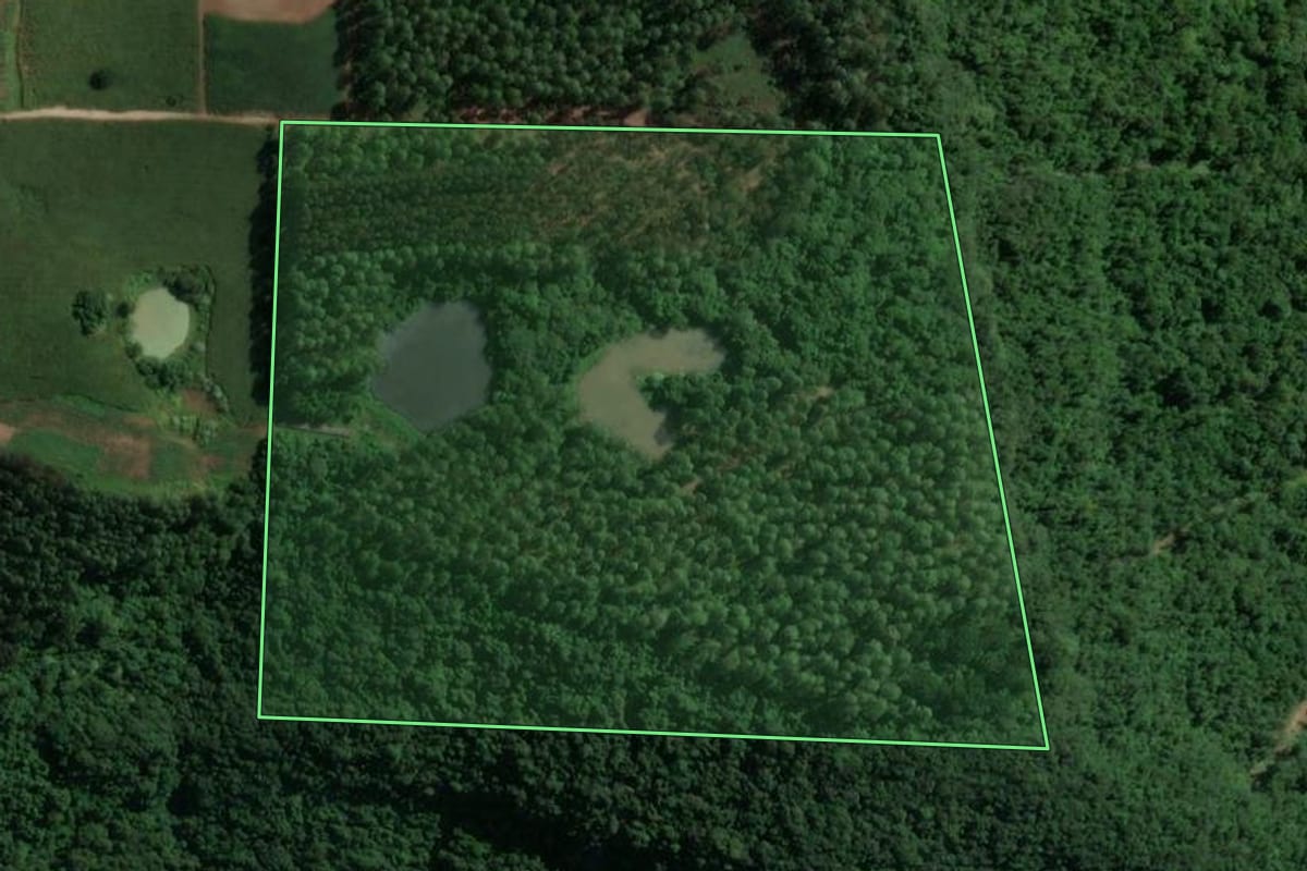 Imagem de satélite do imóvel rural em Doutor Ricardo (RS), com o contorno declarado no CAR desenhado por cima.