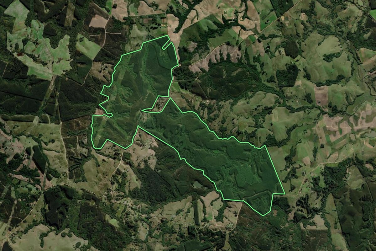 Imagem de satélite do imóvel rural em Eldorado do Sul (RS), com o contorno declarado no CAR desenhado por cima.