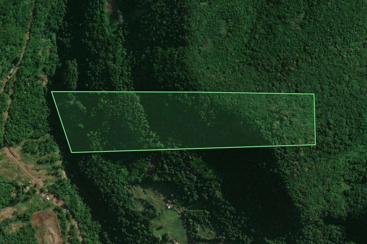 Imagem de satélite do imóvel rural em Encantado (RS), com o contorno declarado no CAR desenhado por cima.