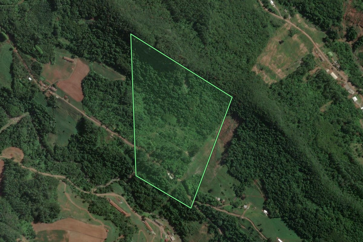 Imagem de satélite do imóvel rural em Encantado (RS), com o contorno declarado no CAR desenhado por cima.