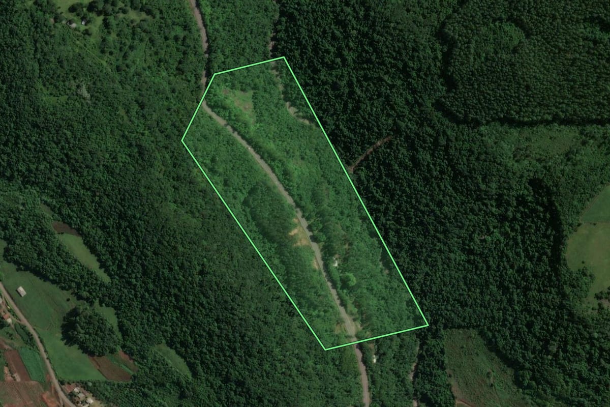 Imagem de satélite do imóvel rural em Encantado (RS), com o contorno declarado no CAR desenhado por cima.