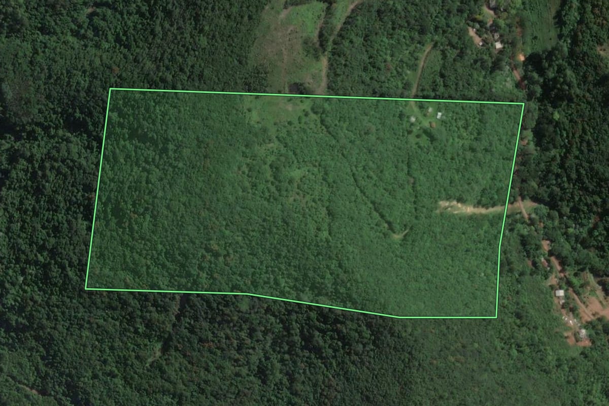 Imagem de satélite do imóvel rural em Encantado (RS), com o contorno declarado no CAR desenhado por cima.