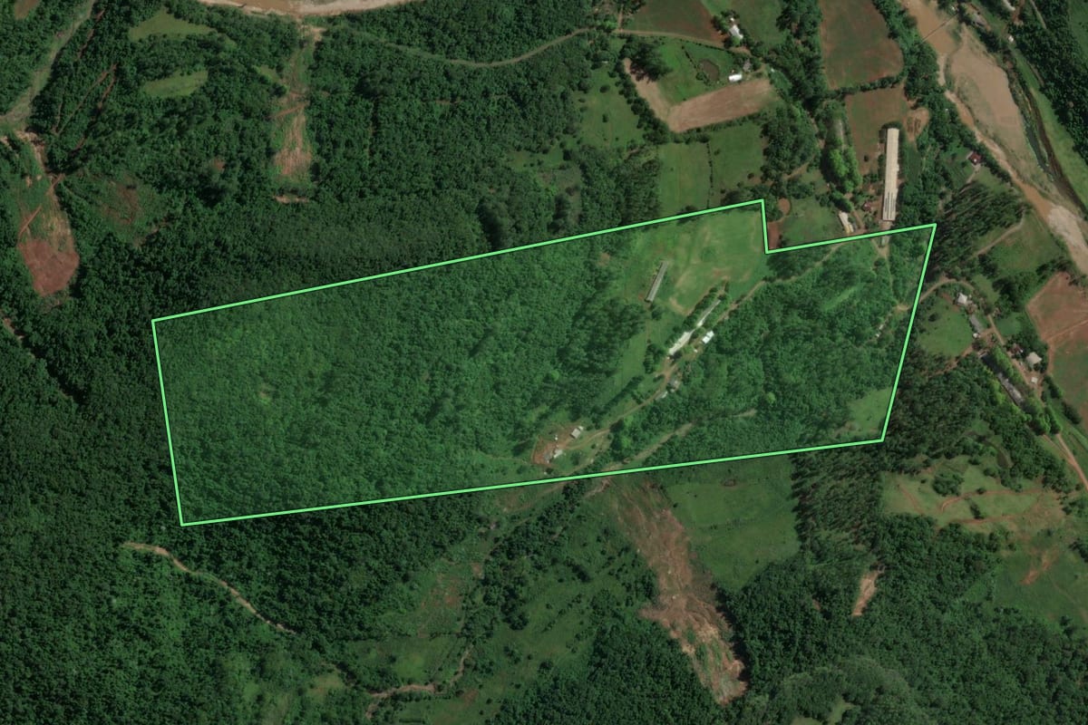 Imagem de satélite do imóvel rural em Encantado (RS), com o contorno declarado no CAR desenhado por cima.