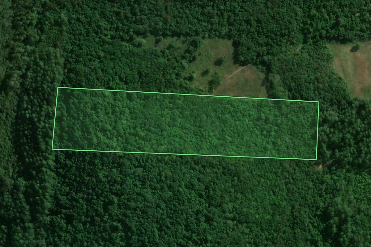 Imagem de satélite do imóvel rural em Encantado (RS), com o contorno declarado no CAR desenhado por cima.