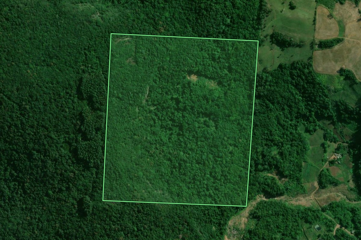 Imagem de satélite do imóvel rural em Encantado (RS), com o contorno declarado no CAR desenhado por cima.