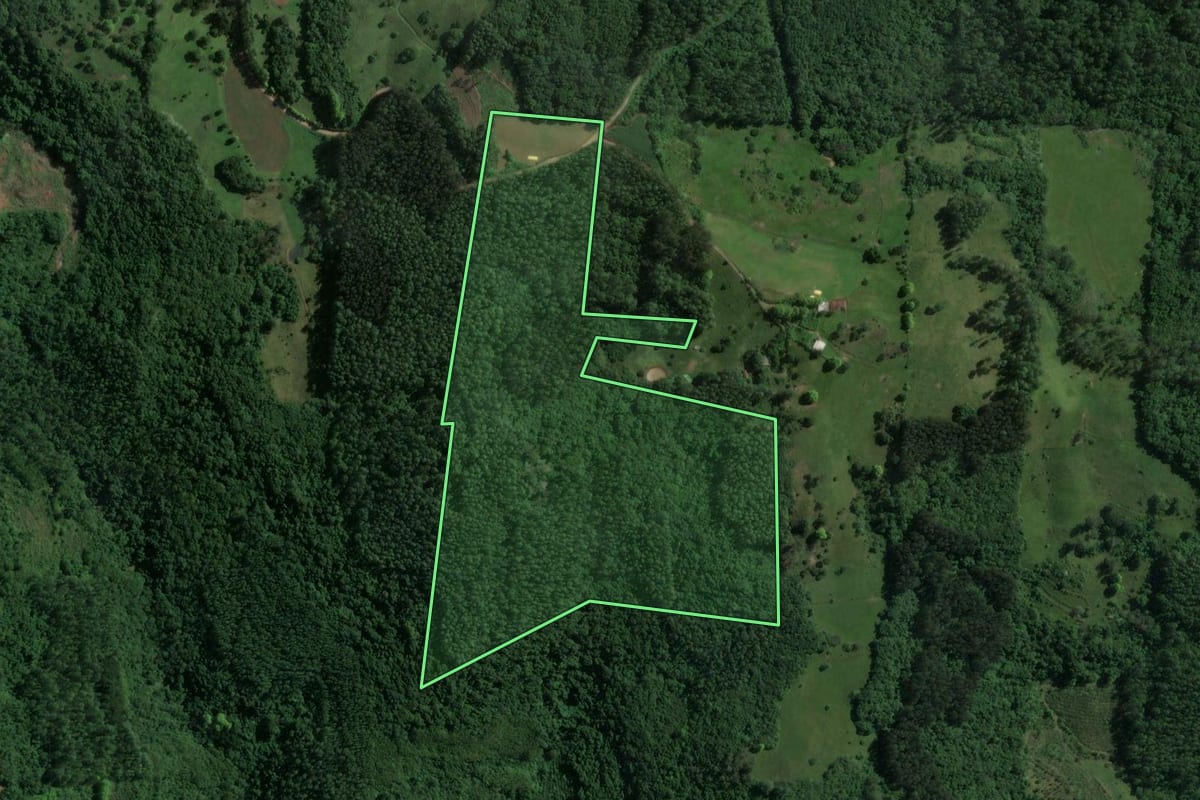 Imagem de satélite do imóvel rural em Encantado (RS), com o contorno declarado no CAR desenhado por cima.