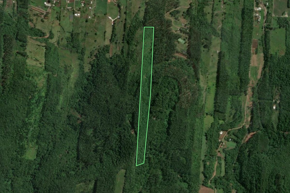 Imagem de satélite do imóvel rural em Encantado (RS), com o contorno declarado no CAR desenhado por cima.