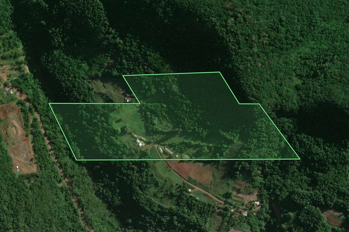 Imagem de satélite do imóvel rural em Encantado (RS), com o contorno declarado no CAR desenhado por cima.