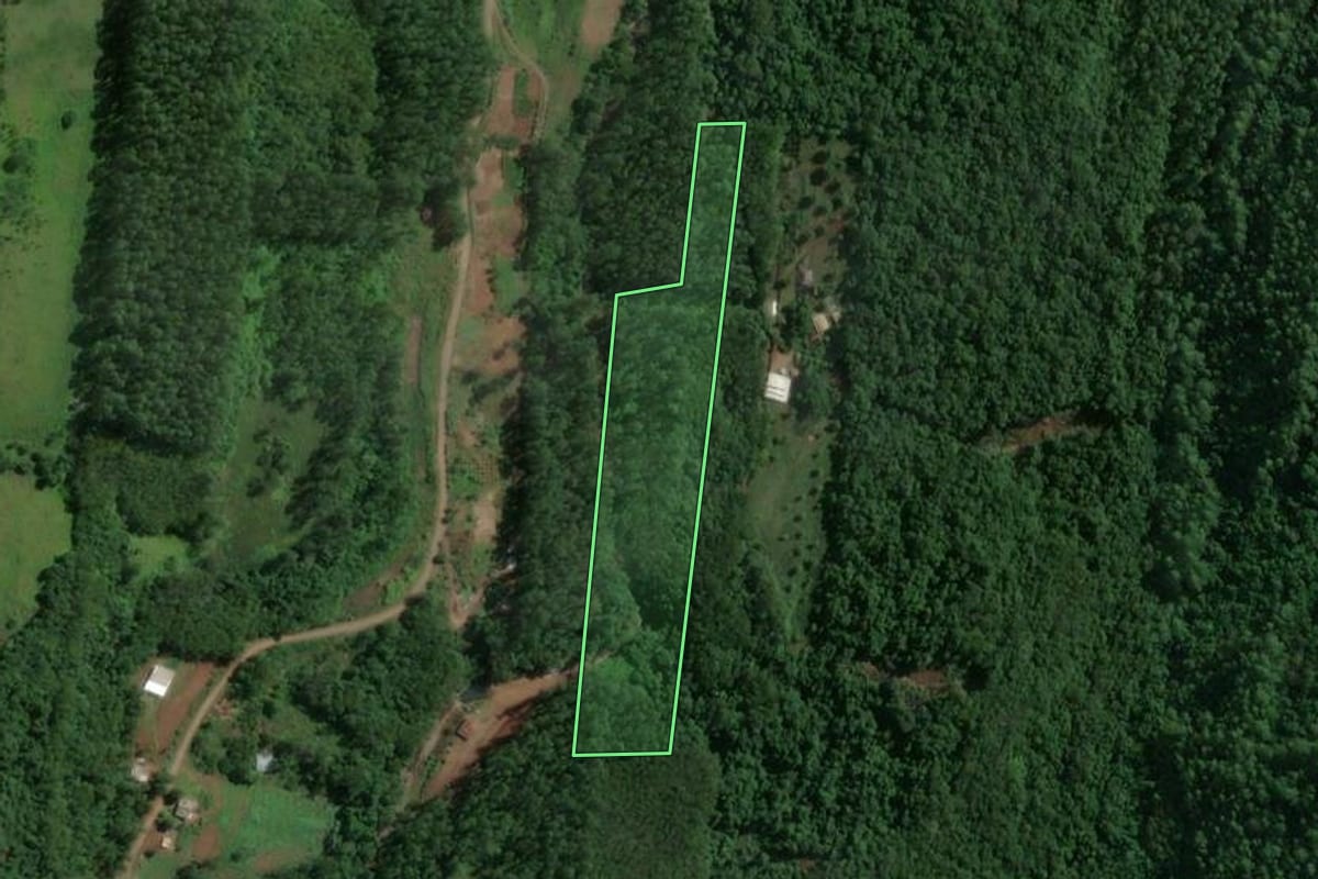 Imagem de satélite do imóvel rural em Encantado (RS), com o contorno declarado no CAR desenhado por cima.