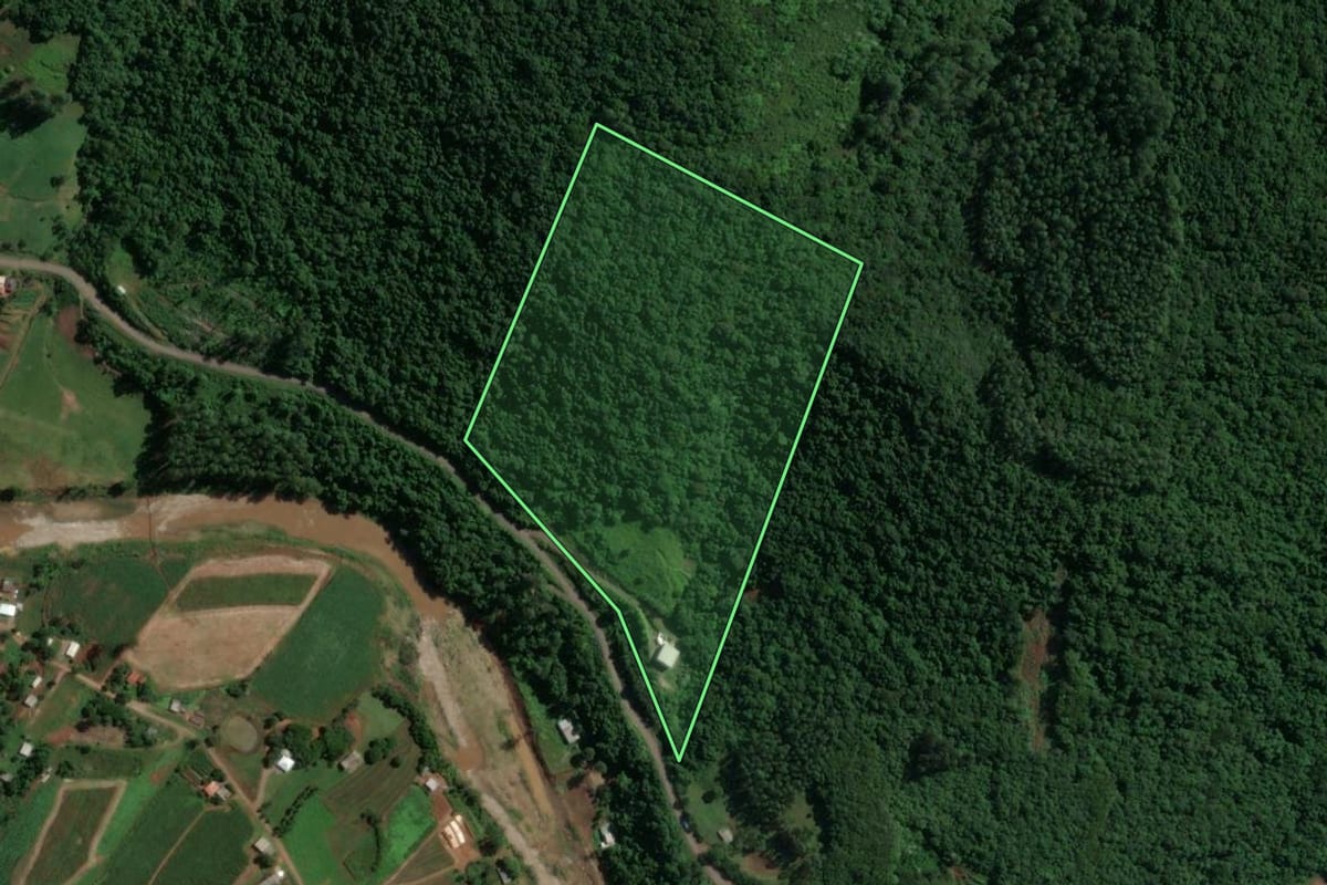 Imagem de satélite do imóvel rural em Encantado (RS), com o contorno declarado no CAR desenhado por cima.