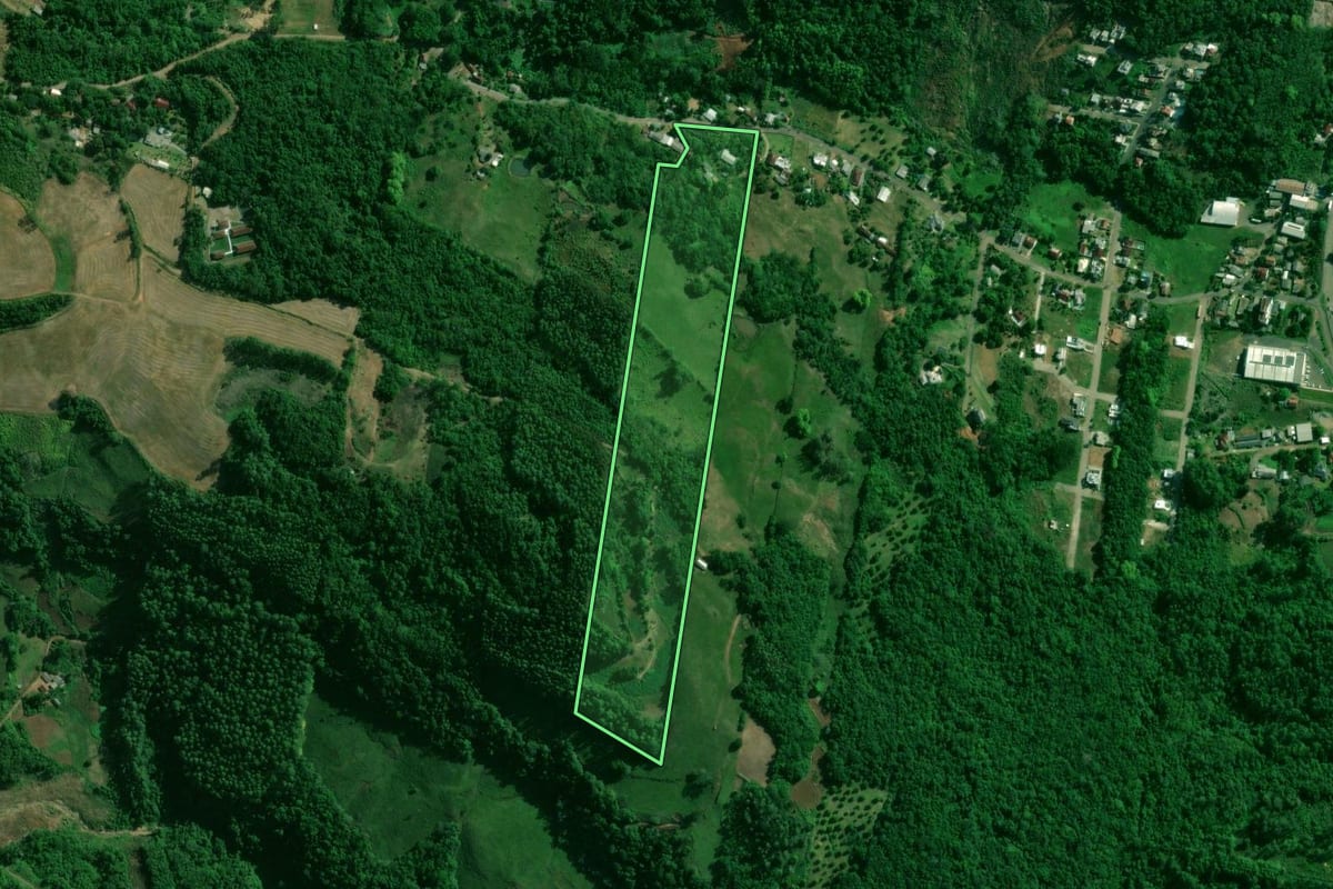 Imagem de satélite do imóvel rural em Encantado (RS), com o contorno declarado no CAR desenhado por cima.