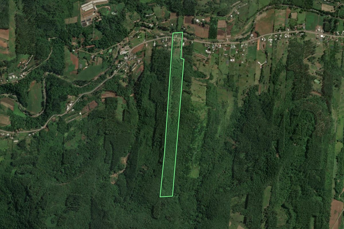 Imagem de satélite do imóvel rural em Encantado (RS), com o contorno declarado no CAR desenhado por cima.