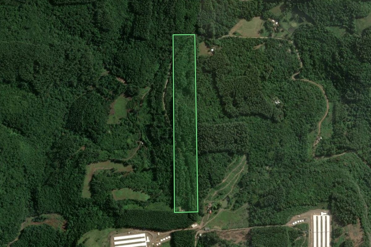 Imagem de satélite do imóvel rural em Encantado (RS), com o contorno declarado no CAR desenhado por cima.