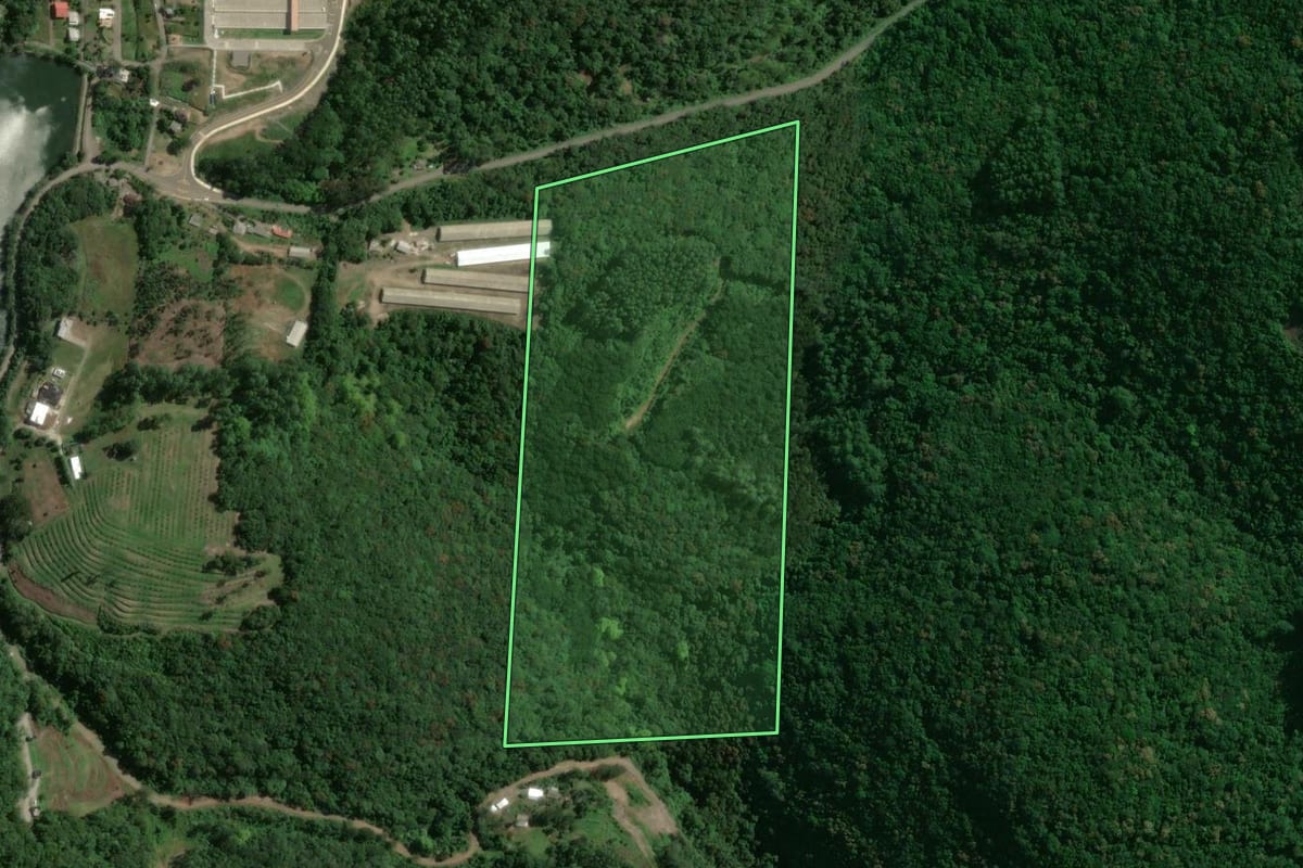 Imagem de satélite do imóvel rural em Encantado (RS), com o contorno declarado no CAR desenhado por cima.