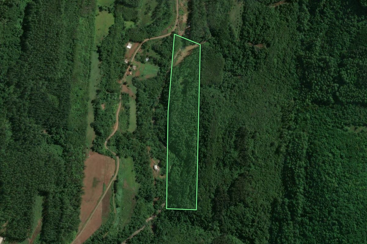Imagem de satélite do imóvel rural em Encantado (RS), com o contorno declarado no CAR desenhado por cima.