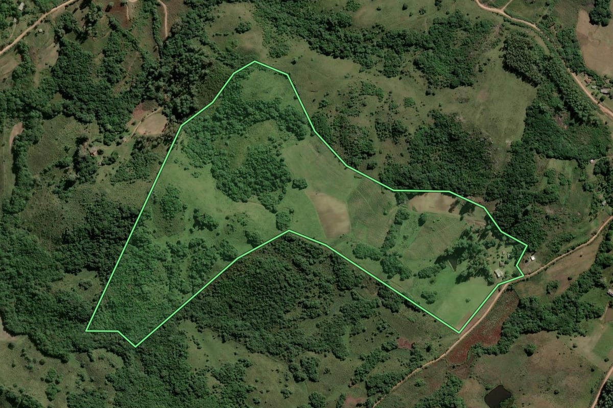 Imagem de satélite do imóvel rural em Encruzilhada do Sul (RS), com o contorno declarado no CAR desenhado por cima.