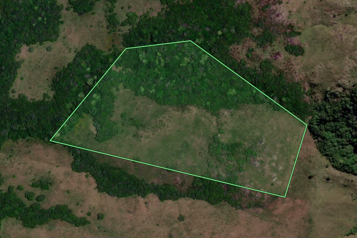 Imagem de satélite do imóvel rural em Encruzilhada do Sul (RS), com o contorno declarado no CAR desenhado por cima.
