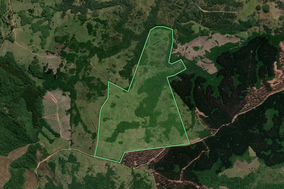 Imagem de satélite do imóvel rural em Encruzilhada do Sul (RS), com o contorno declarado no CAR desenhado por cima.
