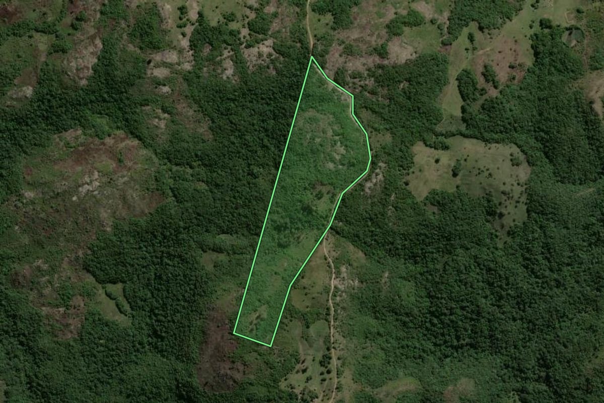Imagem de satélite do imóvel rural em Encruzilhada do Sul (RS), com o contorno declarado no CAR desenhado por cima.